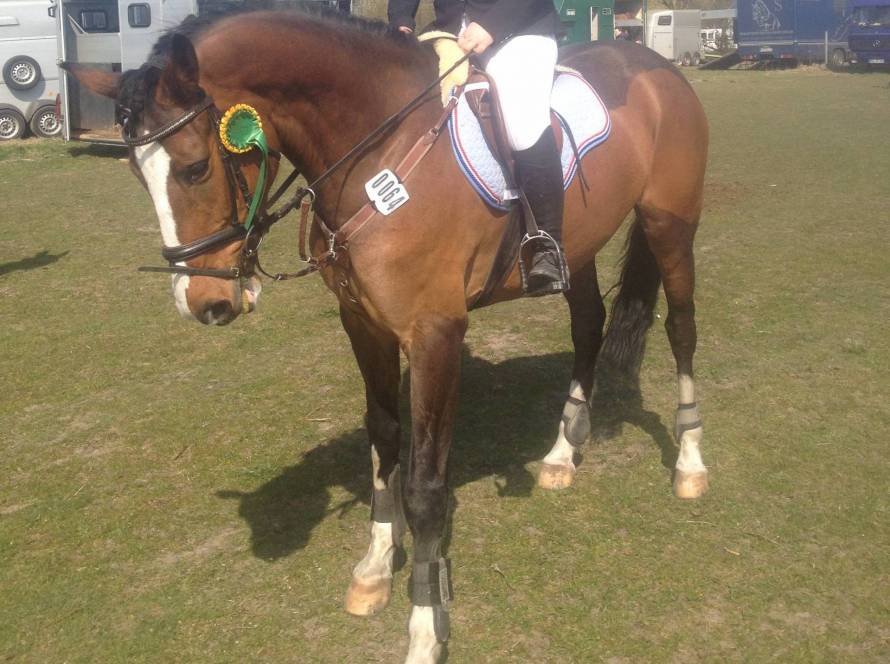 Caravatia Leihmutter