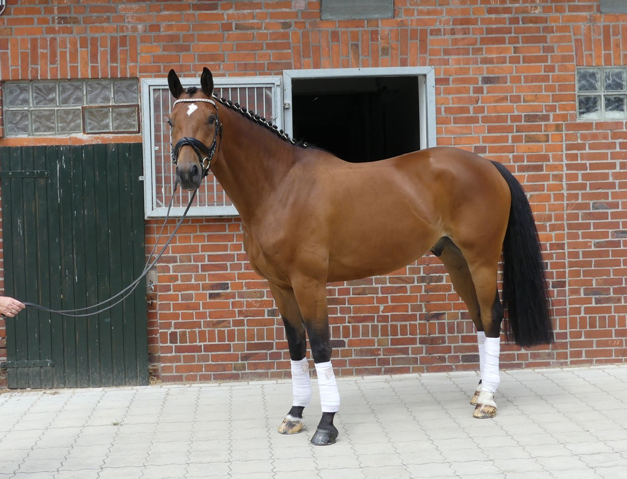 Quibaldi Brestige